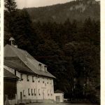 Zwiesel Waldhaus