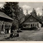 Gelenau - Waldhof