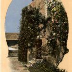 Santa Barbara - Father Glauber