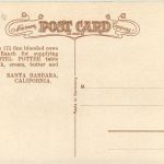 Santa Barbara - The Hotel Potter - Cow Kuh