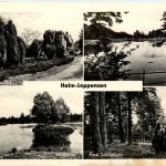 Holm-Seppensen