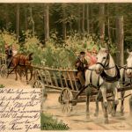 Mailick - Kutsche