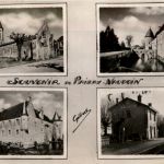 Souvenir de Paizay - Naudoin