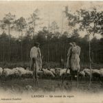 Landes - Un instant de repos