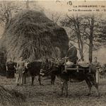 La Vachere