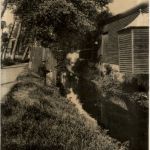 Abbeville - La rue d Argonne