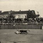 Landes - Courses Landaises