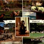 Wuppertal - Zoo
