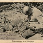 Wildschweinzucht in der Champagne - Feldpost