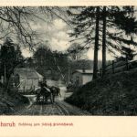 Friedrichsruh - Hohlweg