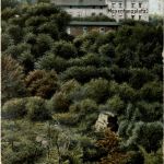 Hotel Hexentanzplatz im Bodetal