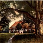 Bispingen - Pfarrhaus