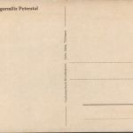 Bürgermiliz Peterstal