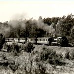 Schmalspurbahn Putbus - Göhren
