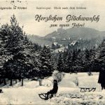 Wernigerode - Salzbergtal - rodeln