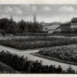 Meerane - Motiv im Rosarium