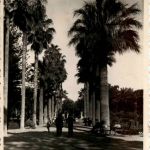 Melilla - Parcque Hernandez