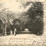 Biskra - Grande Allee