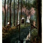 Spreewald - Im Bürgerwald