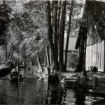 Im Spreewald