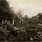Berlin Dahlem - Botanischer Garten