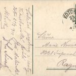 Cattaro - Kotorska luka - Hafen