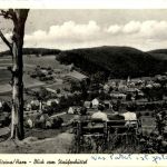 Steina Harz