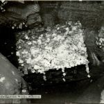 Manitou - Card room - Cave of the Wings