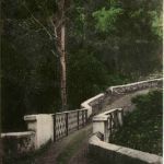 Jamaica - On the road to Newcastle