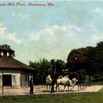 Baltimore - Camels in Druid Hill Park