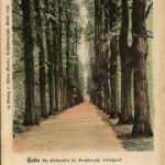 Eutin - Die Lindenallee