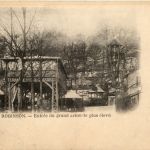 Robinson - Entree du grand arbre de plus eleve