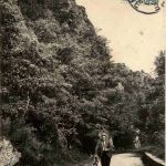 Vallee du Cousin - Route de Pontaubert