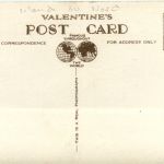 Belfast - floral Hall & Tea Rooms - Hazelwood