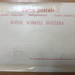 Rigi-Kulm Litho mit Edelweiß