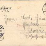 Windbruch im Oberharz 1904