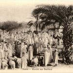 Biskra - Marche aux Bestiaux