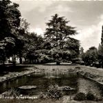 Oberursel - Alleeanlagen