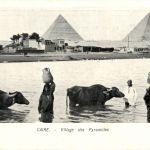 Cairo - Village des Pyramides