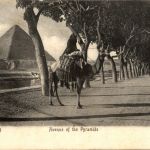 Cairo - Avenue ot the Pyramids