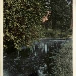 Nienburg - Oyler Berg