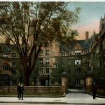 Yale University