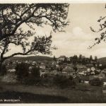 Daun - vom Wehrbüsch
