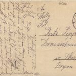 Hinterriss: Jagdschloss mit Falken