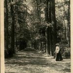 Berlin - Partie aus dem Tiergarten