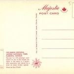 Snowmobile Colombia Icefield Canada