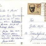 Forst - Rosengarten