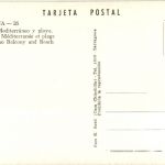 Tarragona