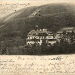 Gruss aus Edenkoben - Waldhaus