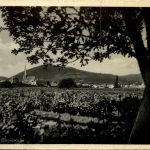 Rhodt an der Weinstrasse